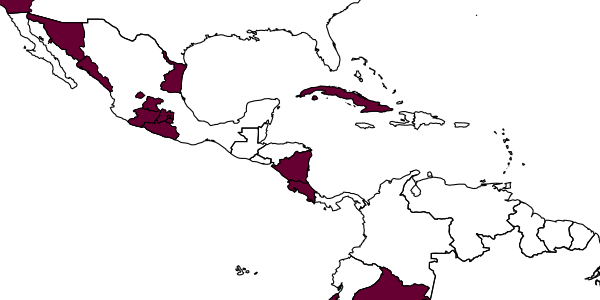 map of Diaretus rapae     (M